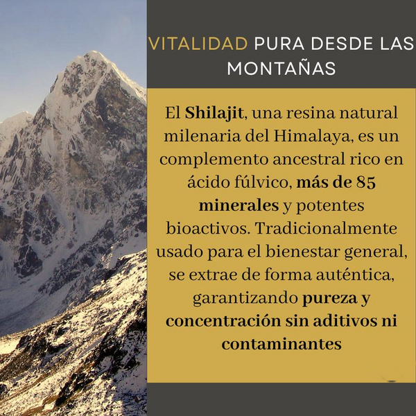 Resina Dorada de Shilajit Himalaya Pura